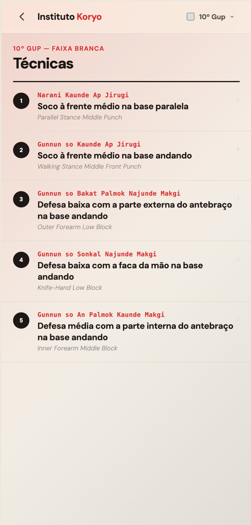 Techniques list with Korean names, Portuguese descriptions and English glosses